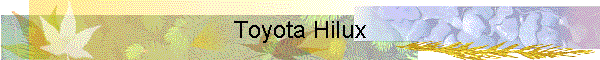 Toyota Hilux