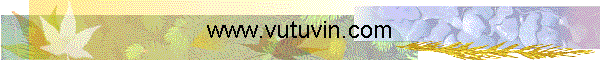 www.vutuvin.com