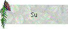 Su